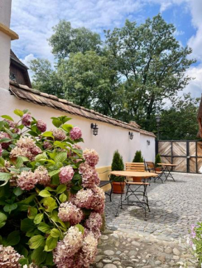 Casa Zatler 1#